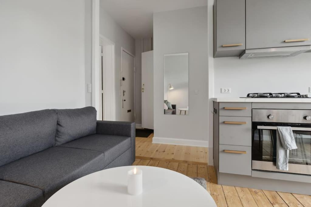 Apartment Bright With Balcony Close To Center